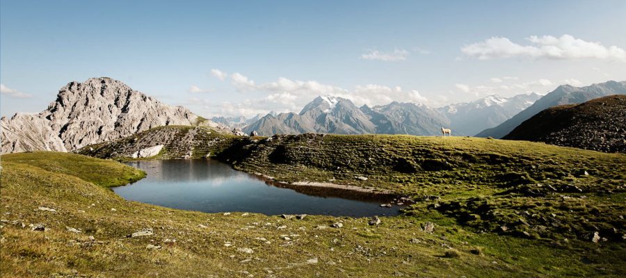 Alpenpanorama Apartments Stubai